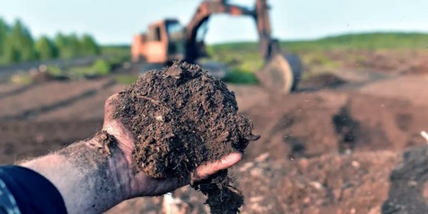 Торф – золота жила українського сільського господарства