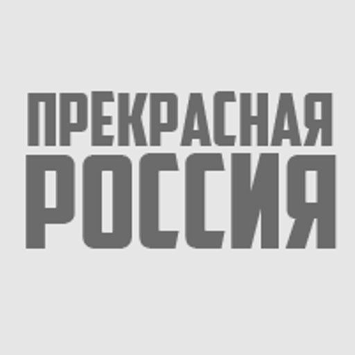 Прибыль Orac Decor уходит в Бельгию и спонсирует ВСУ